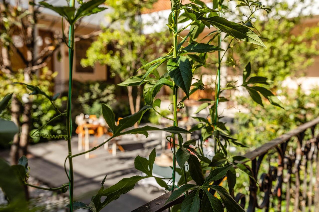 Casa Tuna Mexico City Exterior photo